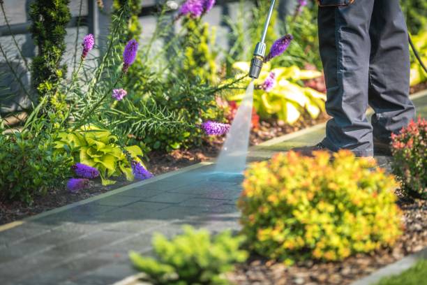 Best Parking Lot and Garage Cleaning  in Timberline Fernwood, AZ